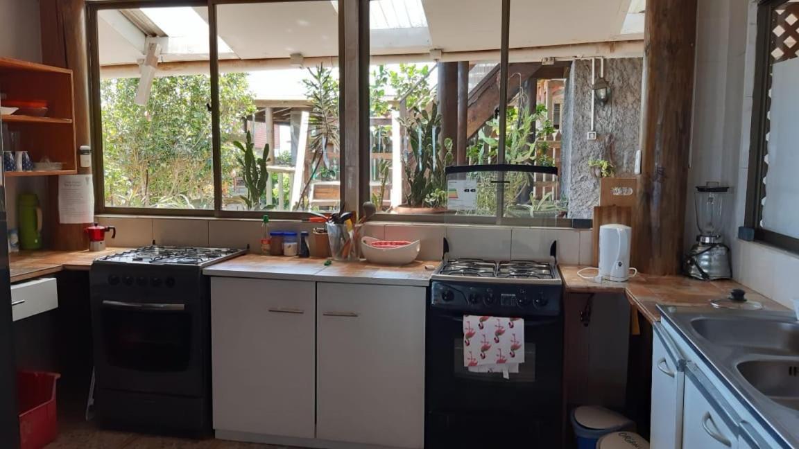 Cabanas & Hostal Tojika ハンガ・ロア エクステリア 写真