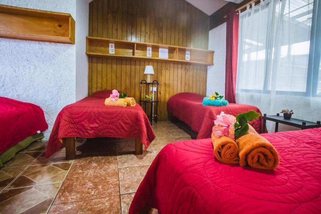 Cabanas & Hostal Tojika ハンガ・ロア エクステリア 写真